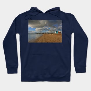 Looking West, February 2021 Hoodie